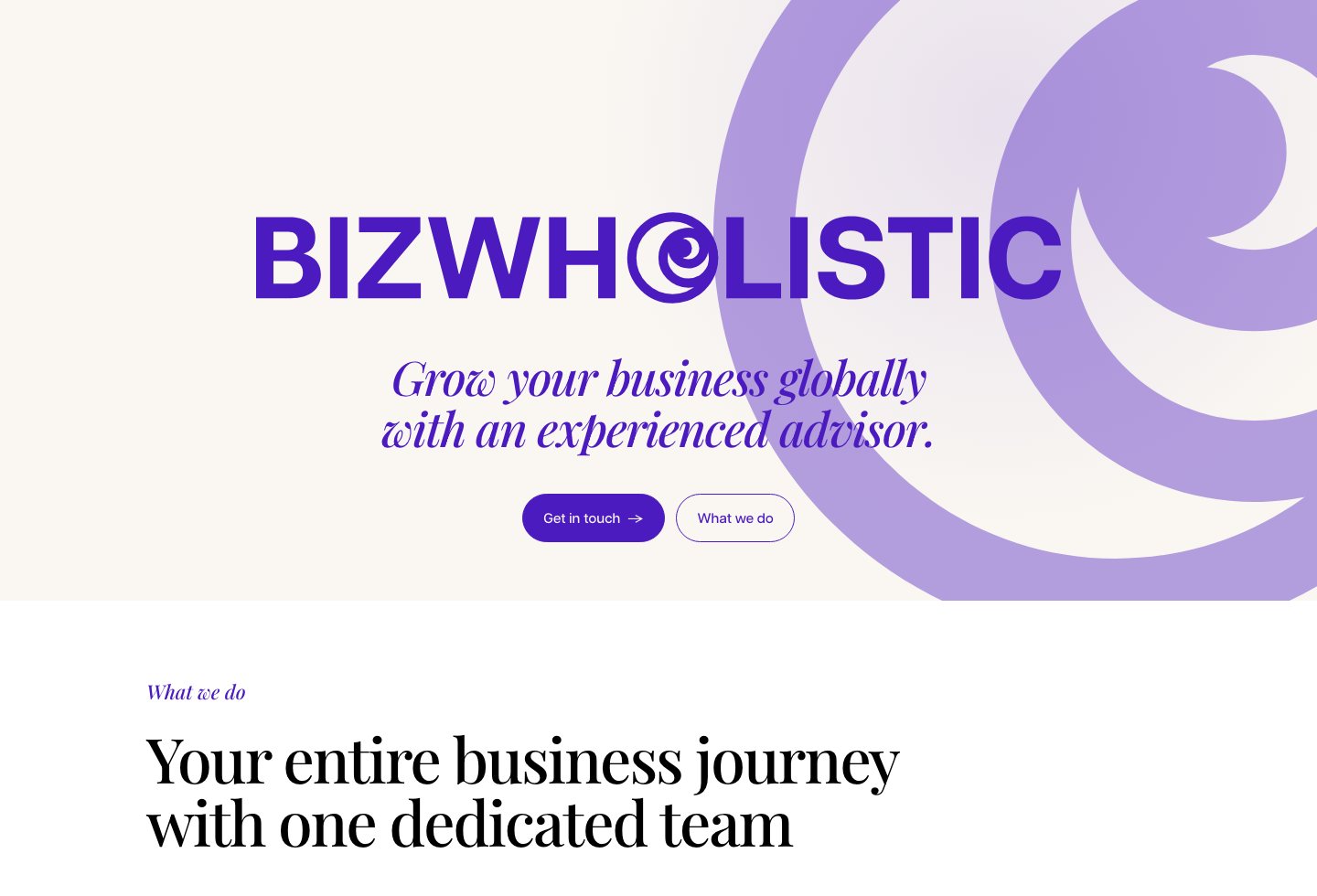 Bizwholistic homepage screenshot showing the first impression, logo, headline, and opening content.